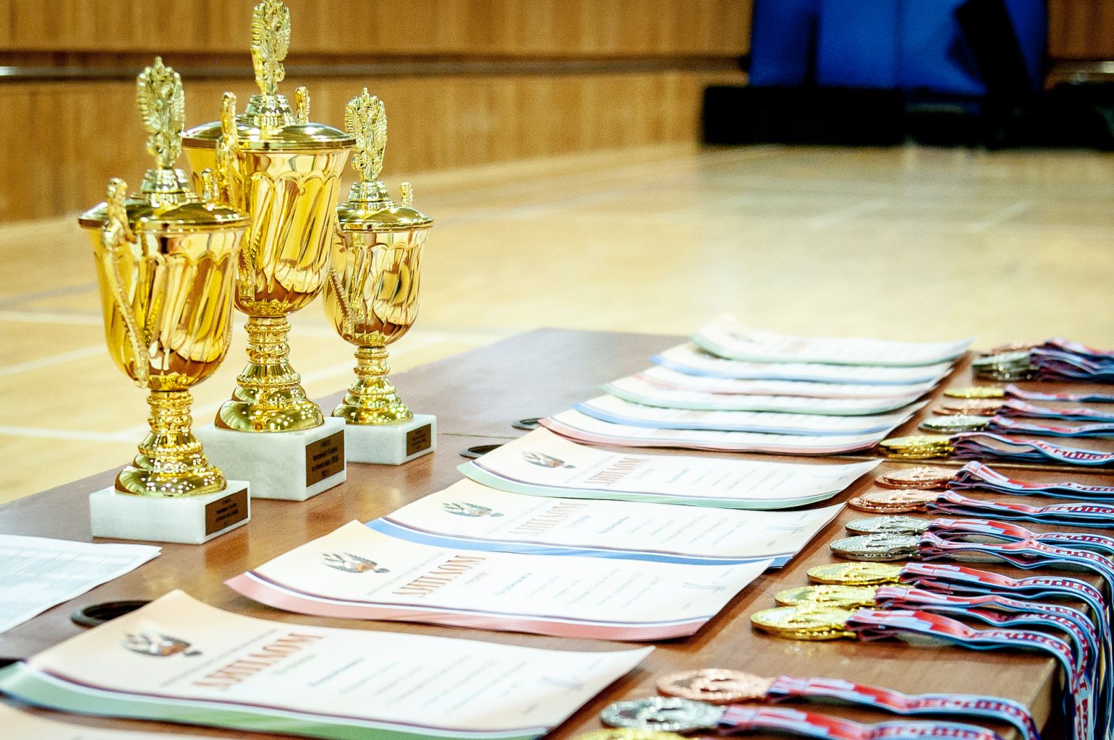        Сборная Краснодарского края выиграла общекомандный зачет чемпионата России по бочча      