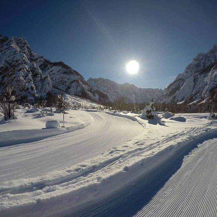 Сборная команда России примет участие в этапе Кубка мира по паралимпийским лыжным гонкам и биатлону в Словении