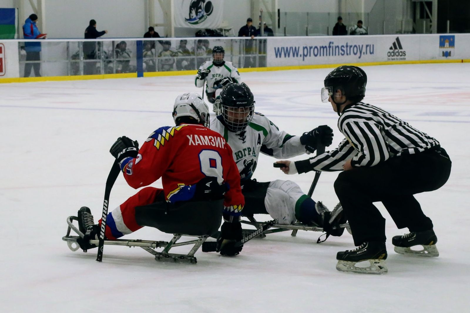 СХК «Феникс» и СХК «Югра» поведут борьбу за титулы чемпионов России по следж-хоккею спортивного сезона 2020/2021