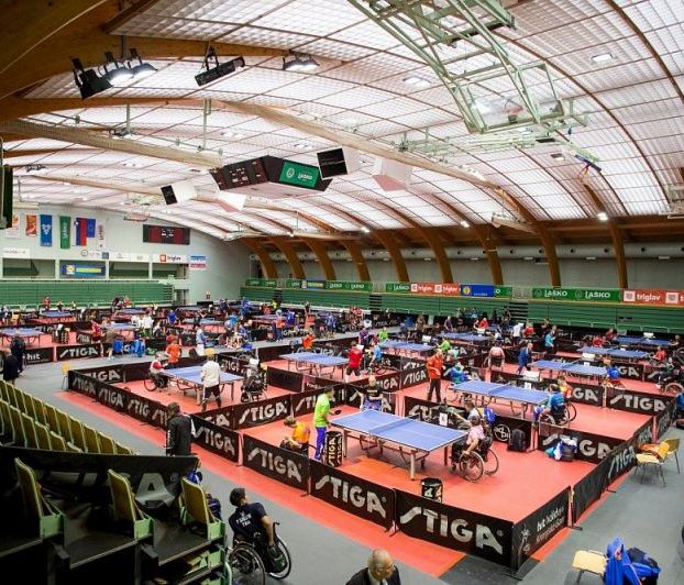 Золотую, 6 серебряных и 4 бронзовые медали завоевали российские спортсмены на международных соревнованиях по настольному теннису спорта лиц с ПОДА и ИН