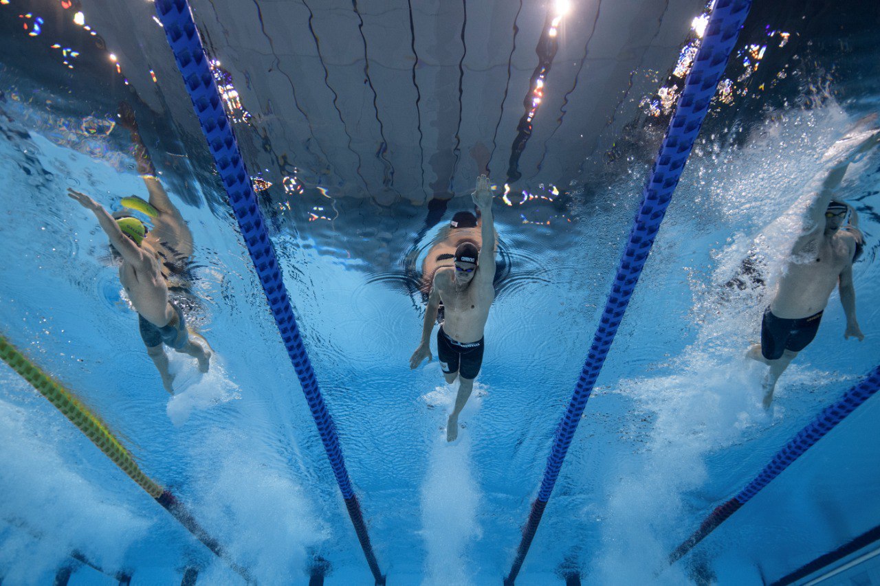        5 этапов Мировой серии МПК по плаванию запланированы в 2022 году      
