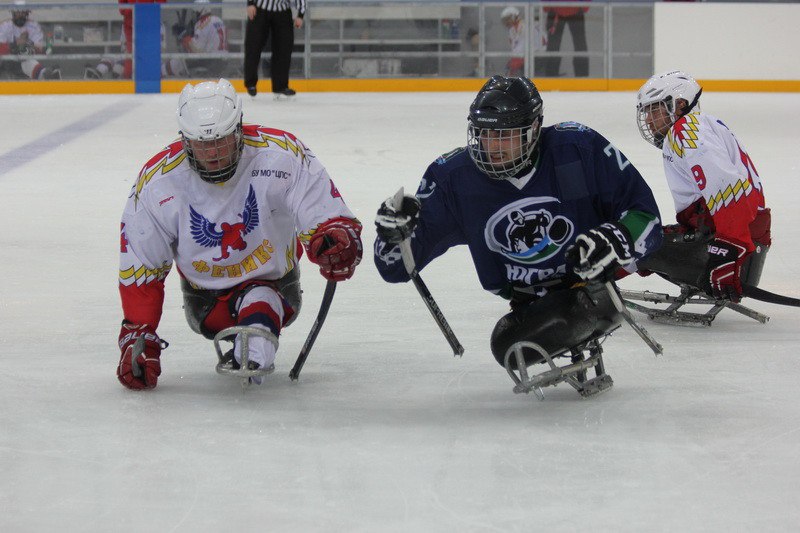 Команда «Югра» из Ханты-Мансийского автономного округа уверенно выиграла первый круг чемпионата России по следж-хоккею в Алексине