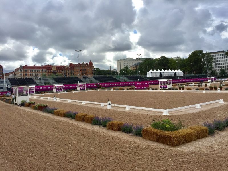 Сборная команда России по конному спорту вступает в борьбу за награды чемпионата Европы в Швеции