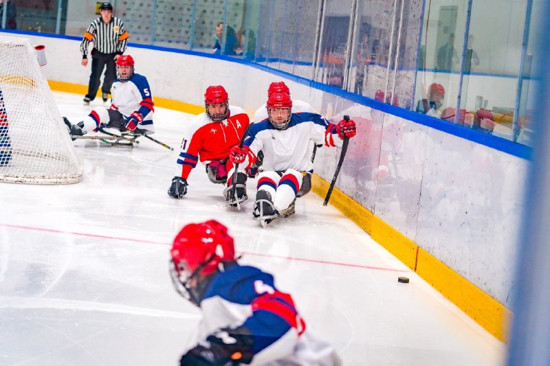 В Алексине завершился групповой этап финального круга чемпионата России по следж-хоккею