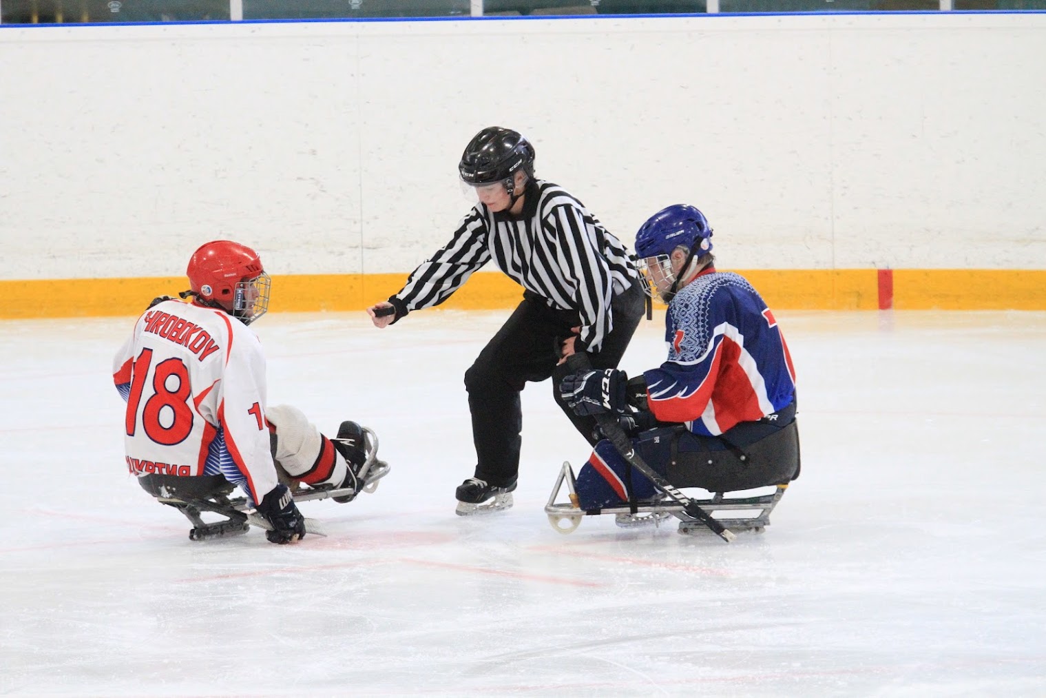 8 команд в Ижевске начнут борьбу за титул чемпионов России по следж-хоккею спортивного сезона 2021/2022 