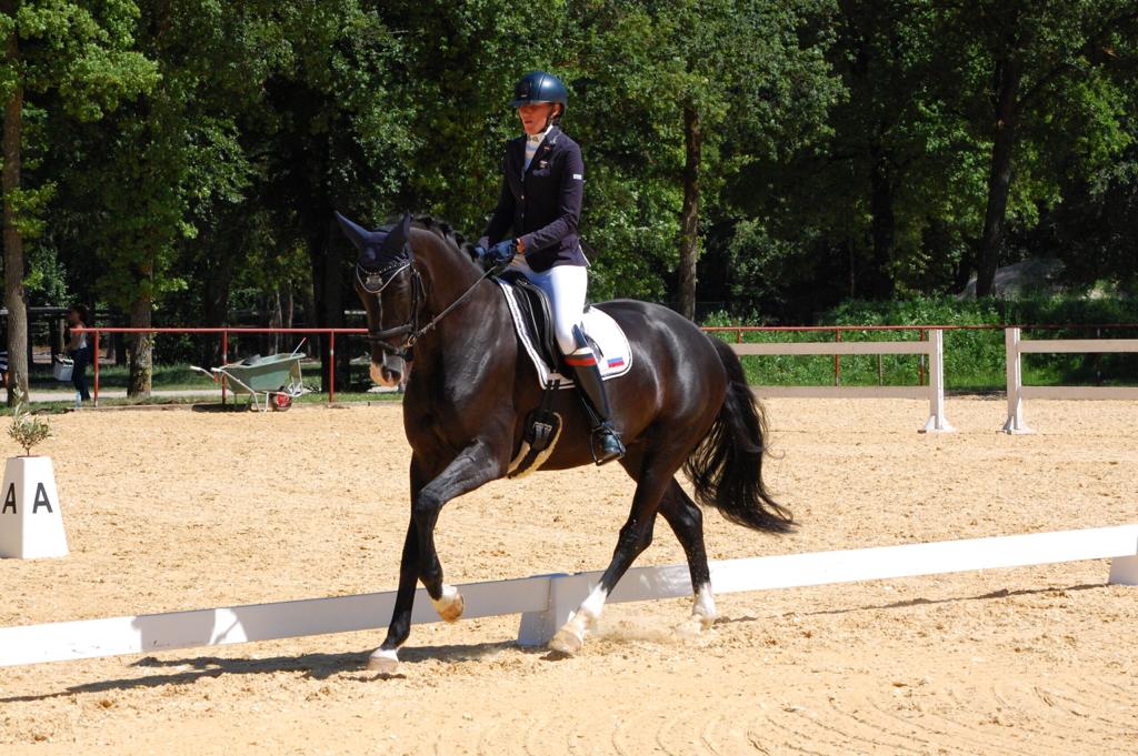 Конный спорт