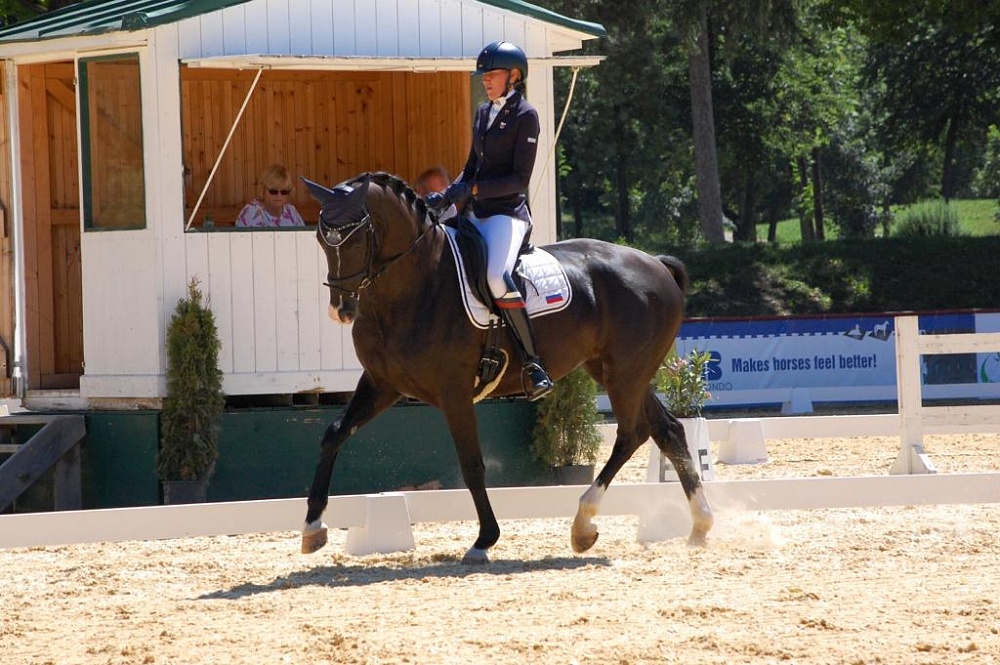 Конный спорт