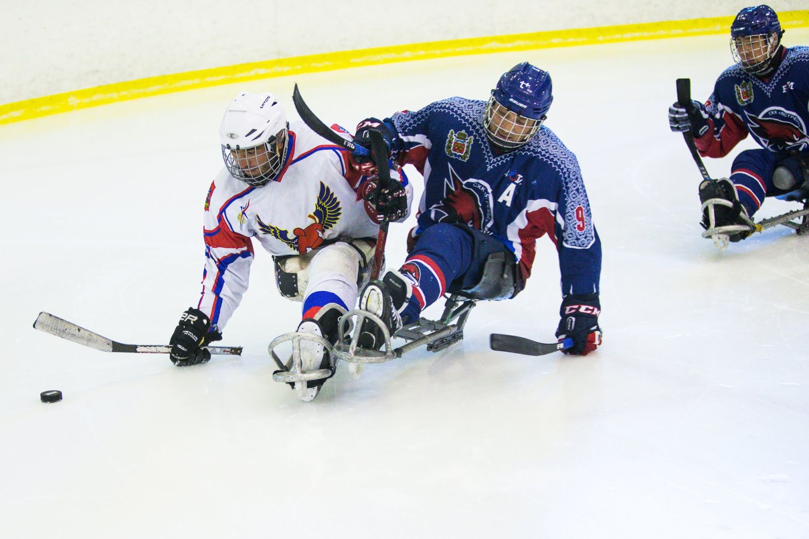 Финальный круг чемпионата России по следж-хоккею состоится с 9 по 18 апреля на РУТБ «Ока» в Тульской области