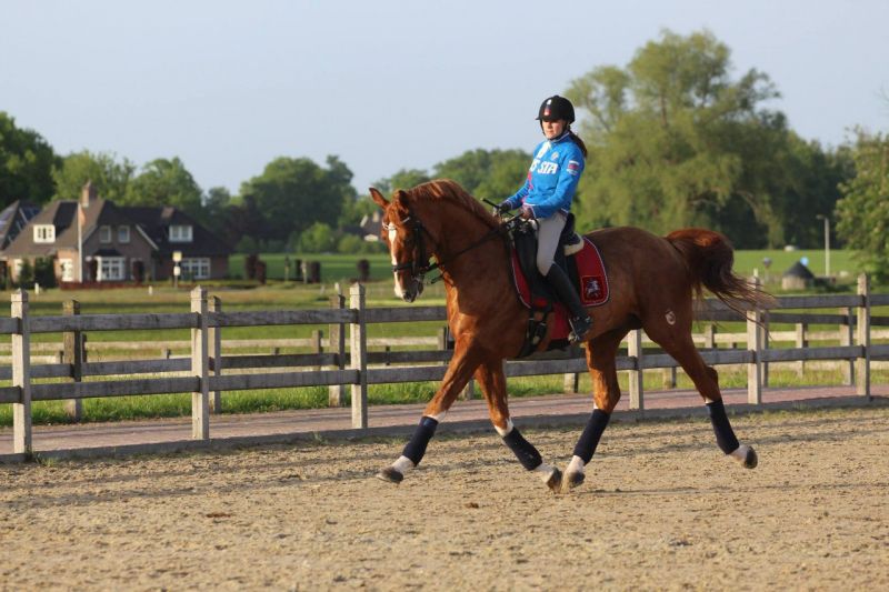 Конный спорт