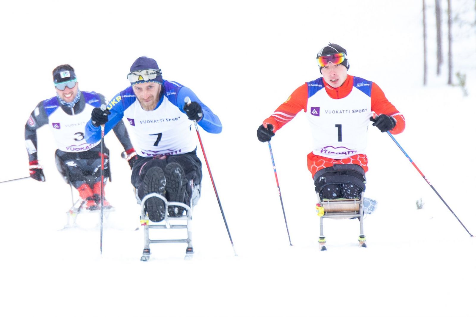        12 золотых, 15 серебряных и 15 бронзовых медалей завоевала сборная России по итогу четырех соревновательных дней  этапа Кубка мира по лыжным гонкам и биатлону МПК в Финляндии      