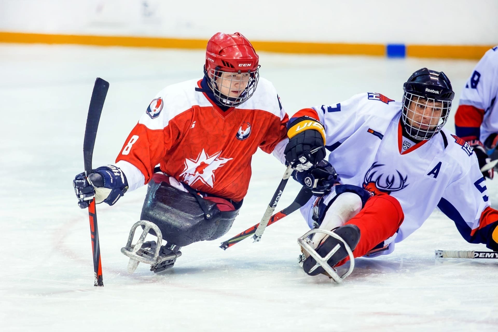 ГТРК "Моя Удмуртия". Репортаж Чемпионата России по хоккею-следж сезона 2023/2024 в Ижевске