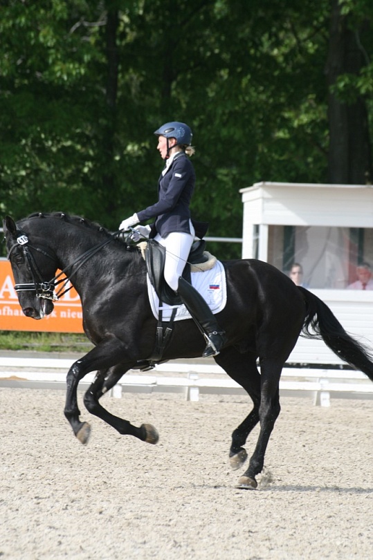 Конный спорт