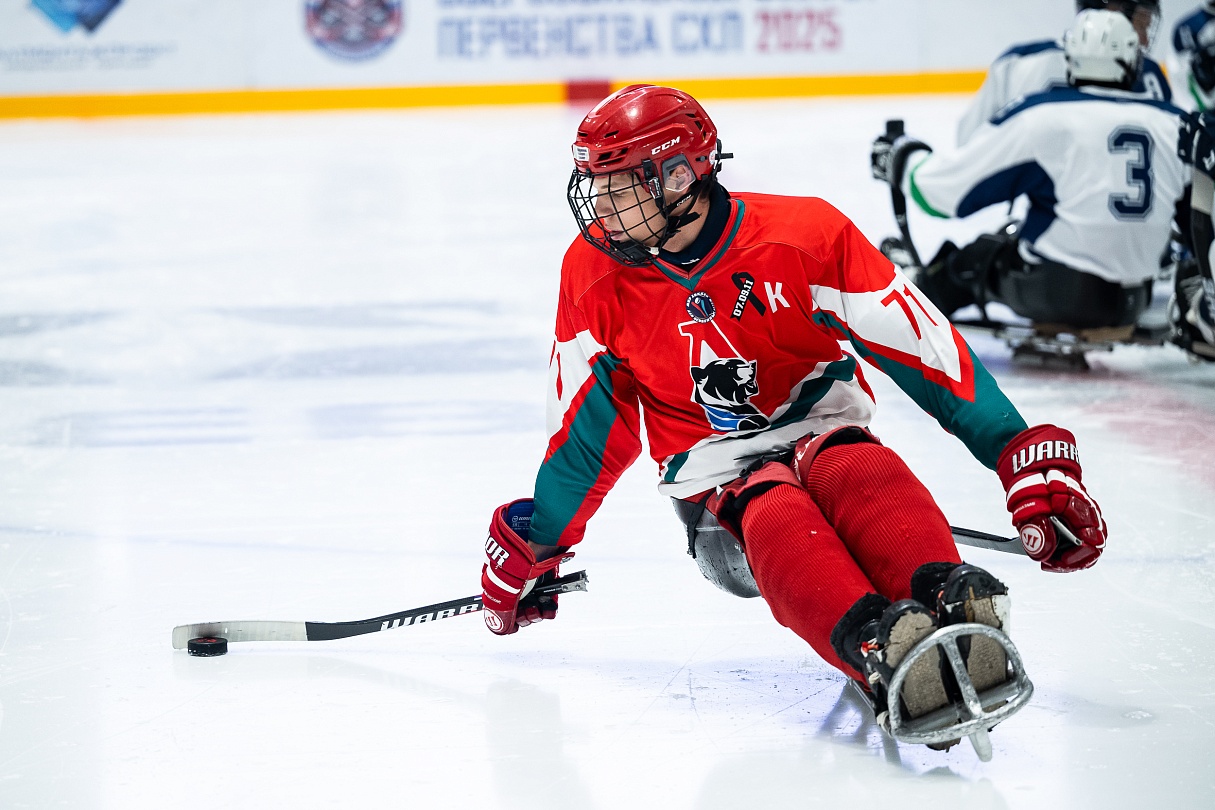 Хоккей-следж