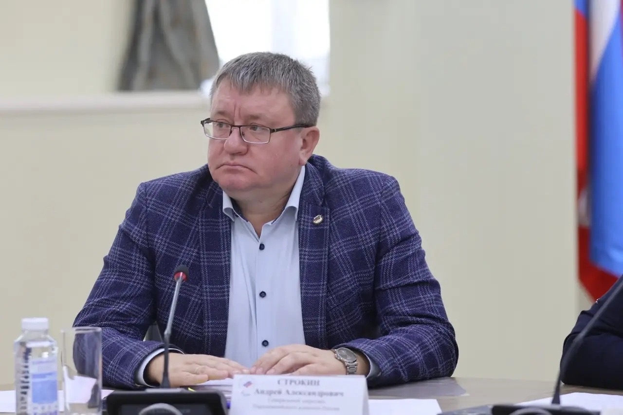 Президент Федерации ПОДА Андрей Строкин выступил на заседании Исполкома Паралимпийского комитета России
