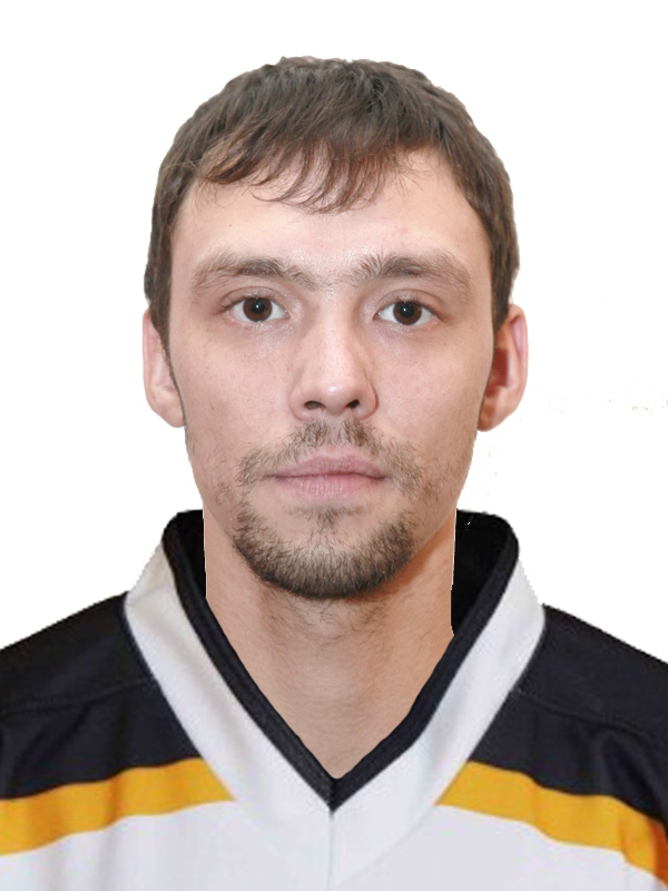 Боровиков Илья Сергеевич